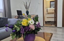 Casa primitoare pe parter, 456 mp teren, zona Facai