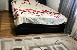 Casa primitoare pe parter, 456 mp teren, zona Facai