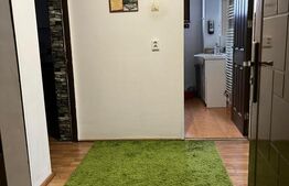 Casa primitoare pe parter, 456 mp teren, zona Facai