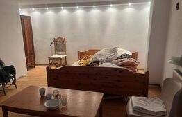 Casa cu piscina P+M, 1.368 mp teren,  Leamna de Sus