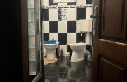 Casa cu piscina P+M, 1.368 mp teren,  Leamna de Sus