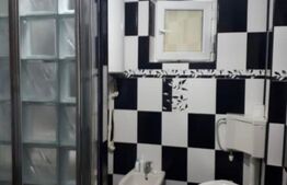 Casa cu piscina P+M, 1.368 mp teren,  Leamna de Sus