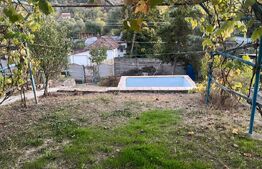 Casa cu piscina P+M, 1.368 mp teren,  Leamna de Sus