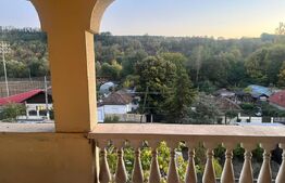 Casa cu piscina P+M, 1.368 mp teren,  Leamna de Sus