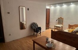 Casa cu piscina P+M, 1.368 mp teren,  Leamna de Sus