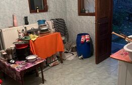 Casa cu piscina P+M, 1.368 mp teren,  Leamna de Sus