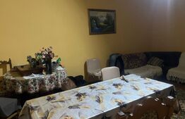 Casa cu piscina P+M, 1.368 mp teren,  Leamna de Sus