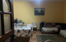 Casa cu piscina P+M, 1.368 mp teren,  Leamna de Sus