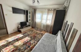 Garsoniera 35 mp, pet friendly, Etaj 2/4 Brazda lui Novac