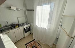 Garsoniera 35 mp, pet friendly, Etaj 2/4 Brazda lui Novac