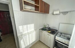 Garsoniera 35 mp, pet friendly, Etaj 2/4 Brazda lui Novac