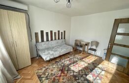 Garsoniera 35 mp, pet friendly, Etaj 2/4 Brazda lui Novac