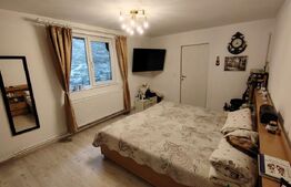 Casa P+M cartier 1 Mai, in apropiere de Parcul N Romanescu