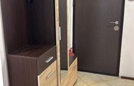 Casa P+1 240 mp utilii, ( doua apartamente 1200 mp teren ,zonz Carcea