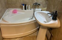 Casa P+1 240 mp utilii, ( doua apartamente 1200 mp teren ,zonz Carcea