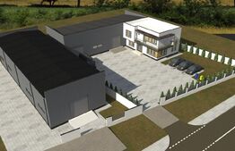 Casa P+1 240 mp utilii, ( doua apartamente 1200 mp teren ,zona Carcea