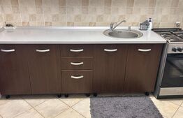 Casa P+1 240 mp utilii, ( doua apartamente 1200 mp teren ,zonz Carcea