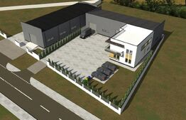 Casa P+1 240 mp utilii, ( doua apartamente 1200 mp teren ,zonz Carcea