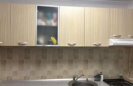 Casa P+1 240 mp utilii, ( doua apartamente 1200 mp teren ,zona Carcea