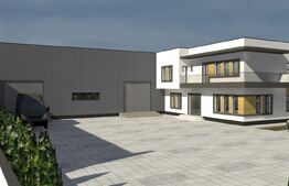 Casa P+1 240 mp utilii, ( doua apartamente 1200 mp teren ,zona Carcea