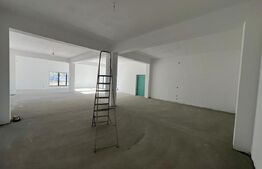 Showroom/Hală de inchiriat, 290 mp + teren 1.000 mp 