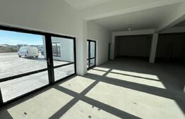 Showroom/Hală de inchiriat, 290 mp + teren 1.000 mp 