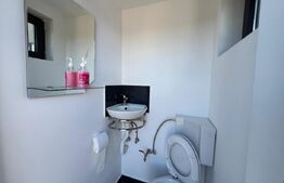 Showroom/Hală de inchiriat, 290 mp + teren 1.000 mp 