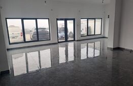 Showroom/Hală de inchiriat, 290 mp + teren 1.000 mp 