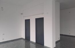 Showroom/Hală de inchiriat, 290 mp + teren 1.000 mp 