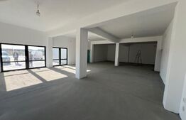 Showroom/Hală de inchiriat, 290 mp + teren 1.000 mp 