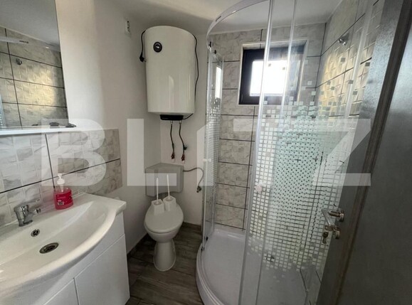 Spațiu industrial de închiriat Preajba - 179446SII | BLITZ Craiova | Poza9