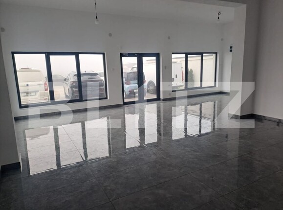 Spațiu industrial de închiriat Preajba - 179446SII | BLITZ Craiova | Poza2