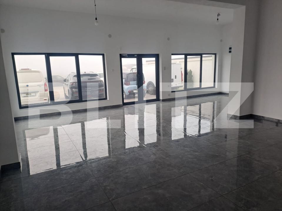 Spațiu industrial de închiriat Preajba - 179446SII | BLITZ Craiova | Poza2