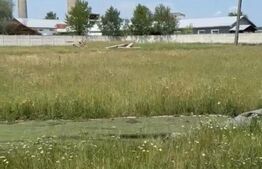 Teren intravilan, 9498 mp, Filiasi