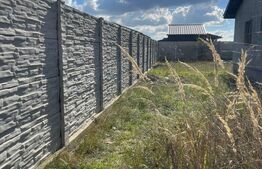 Casa P+M, 400 mp teren, zona Magnolia