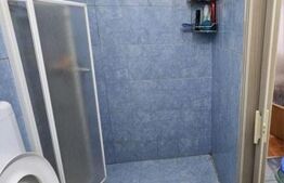 Camera de camin, 20 mp, zona Valea Rosie