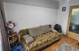 Camera de camin, 20 mp, zona Valea Rosie