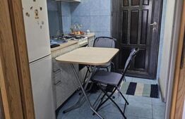 Camera de camin, 20 mp, zona Valea Rosie