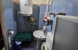 Camera de camin, 20 mp, zona Valea Rosie