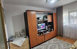 Camera de camin, 20 mp, zona Valea Rosie