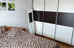 Garsoniera 28 mp, centrala proprie,  zona Ciuperca