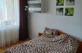 Garsoniera 28 mp, centrala proprie,  zona Ciuperca