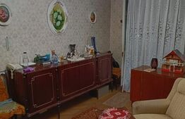 Apartament 2 camere,  48 mp, zona Brazda lui Novac