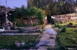 Casa, 170 mp, teren 1400 mp, zona Bariera Valcii 