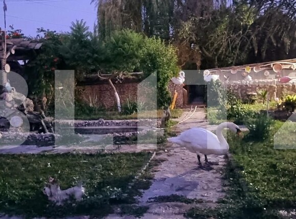 Casa de vânzare 3 camere Bariera Valcii - 179702CV | BLITZ Craiova | Poza22