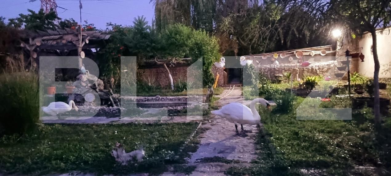 Casa de vânzare 3 camere Bariera Valcii - 179702CV | BLITZ Craiova | Poza22