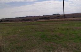 Teren intravilan zona Damila, 800 mp cu deschidere de 40m