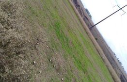 Teren intravilan zona Damila, 800 mp cu deschidere de 40m