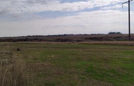 Teren intravilan zona Damila, 800 mp cu deschidere de 40m