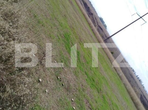 Teren de vânzare Malu Mare - 179775TV | BLITZ Craiova | Poza4